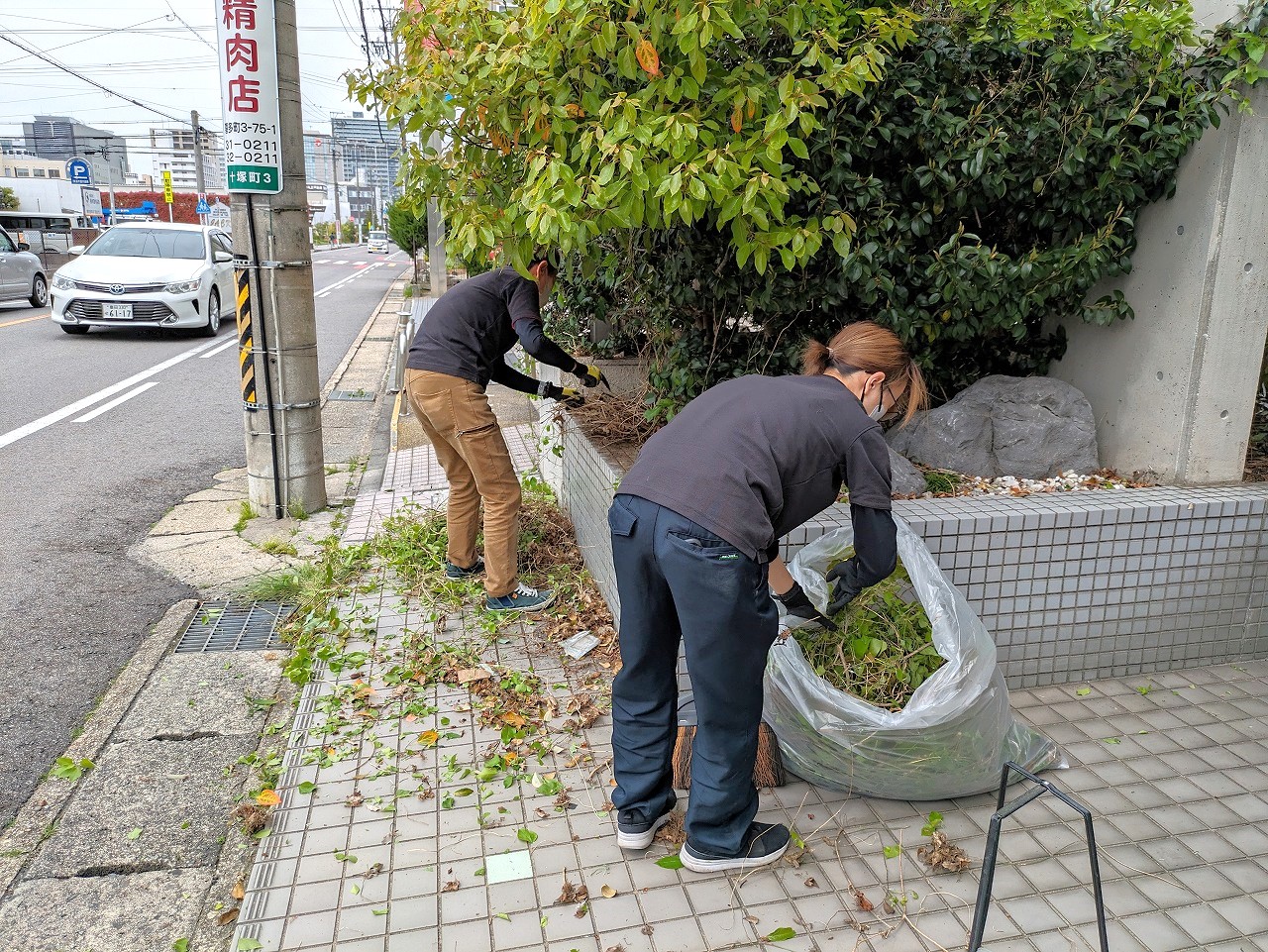 ビル敷地内雑草取り